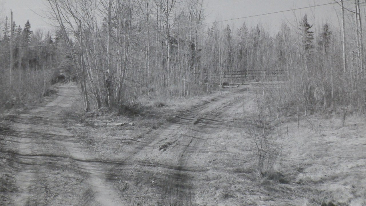 Arts visuels: une nouvelle exposition de Denis Rioux au Centre d'artistes Vaste et Vague
