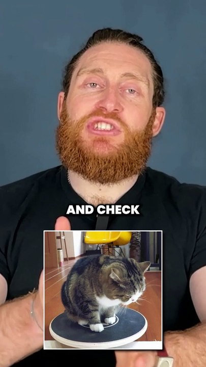 Boost Your Google Ads Conversion by Avoiding These 3 Pitfalls