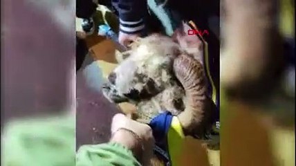 Trabzonspor'a akla hayale sığmayacak karşılama