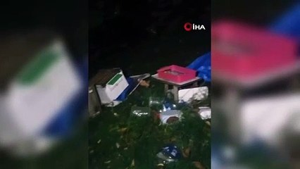 Aç kalan ayılar arı kovanlarını parçaladı