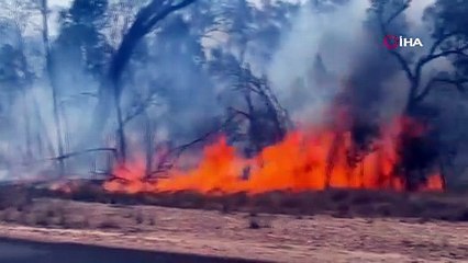 Avusturalya’da orman yangını: 2 ölü