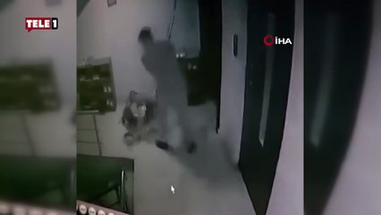 Vicdansızlığın böylesi! Apartmandaki kediye sopayla saldırdı