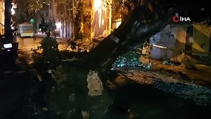Üsküdar'da bir evin bahçe duvarına ağaç devrildi