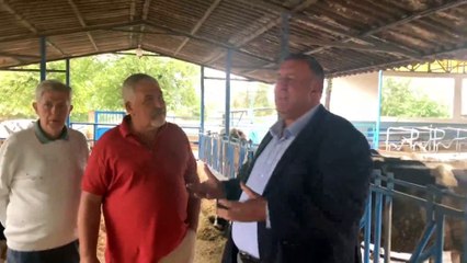 Besici yem almak için hayvanını satar hale geldi. Her gün daha fazla zarar ediyorlar