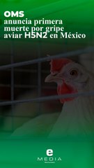 OMS anuncia primera muerte por gripe aviar H5N2 en México
