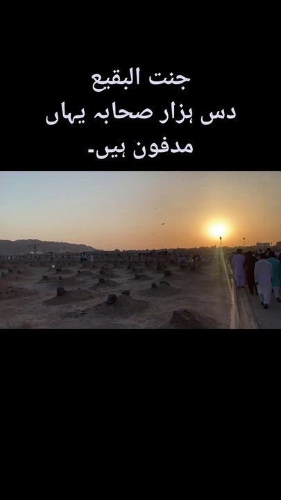 FB_VID_6696492851735852864