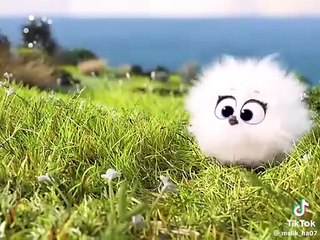 Animation cartoon movie clip