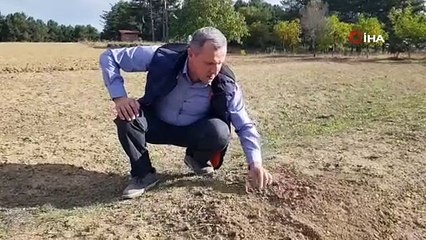 Mutluluk iksirinin hasadı bu sene rötar yaptı. Kanserin öksürüğün kökünü kazıyor