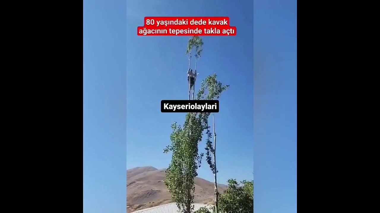 80 yaşında kavak ağacının tepesine çıkıp ters takla atmaya çalıştı