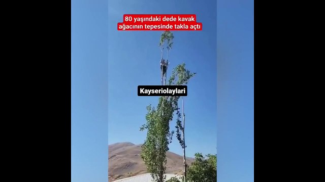 80 yaşında kavak ağacının tepesine çıkıp ters takla atmaya çalıştı