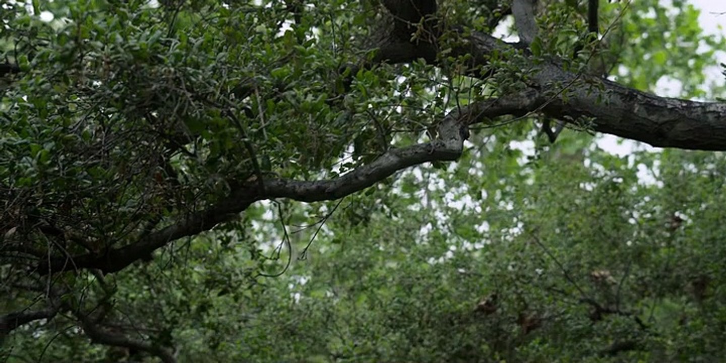 Unser Vater – Dr. Cline (2022) stream deutsch anschauen