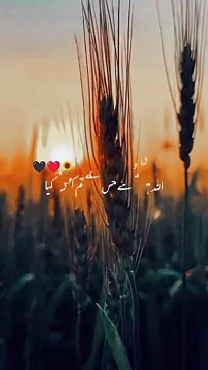 Love is love ❤️❤️❤️
