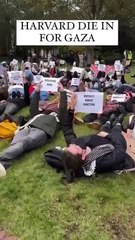 Harvardlı öğrencilerden Filistin'e destek