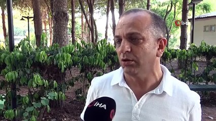 Türkiye’de görülüyor. Evinizin her tarafını sarabilir. Geceleri saklanıyorlar. İnsanın uyumasını bekleyip kanını emiyorlar