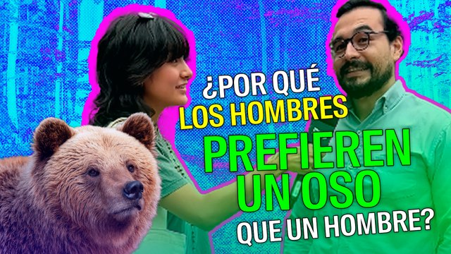 ¿Por qué los hombres también prefieren un oso que un hombre?