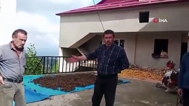 Yavru ayıyı aracıyla kovaladı