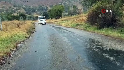 Minibüsün arkasına bağladığı köpeği dakikalarca sürükledi