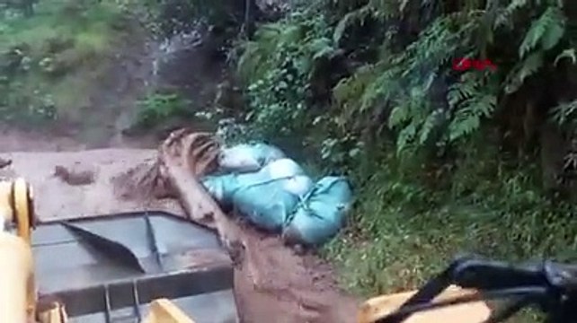 Rize sağanak yağışa teslim: Dereler taştı, 23 köyü su bastı