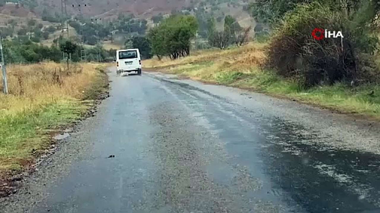 Sen insan mısın? Aracının arkasına bağladığı köpeği kilometrelerce sürükledi