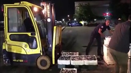 Balık halinde denetim: 3 kişiye 49 lira ceza