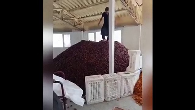 Fıstık deposundan son şimdi de kayısı deposu