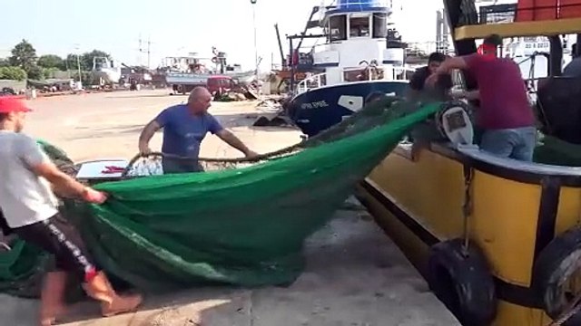 Balıkçıların ağından çıkanlar şaşkına çevirdi. Zararları çok büyük