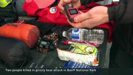 Ulusal parkta ayı dehşeti evli çifti öldürdü. Cesetleri saatler sonra bulundu