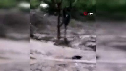 Meksika'yı sel vurdu: 8 ölü