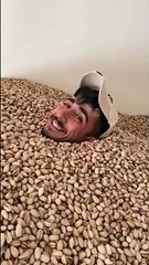 Siirt fıstıkların içinde poz verip sonrasında ağzına attığı fıstıkları tüküren kişinin videosu gündem oldu