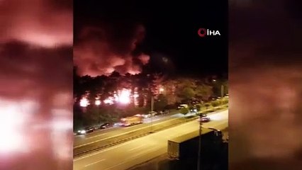 Ordu’da korkutan yangın. 8 bungalov ev küle döndü