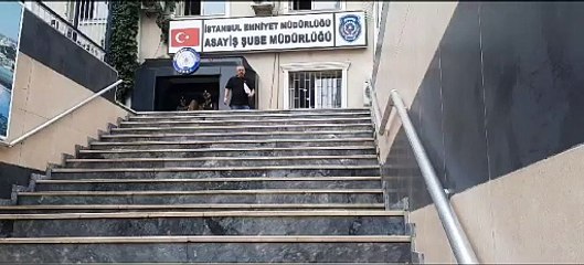 Gerilim romanları yazarı eski kocasının boğazını keserek öldürdü. Beşiktaş’taki lüks sitede cinayet işlendi