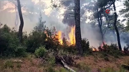 Yıldırım isabet eden ormanlık alanda yangın çıktı