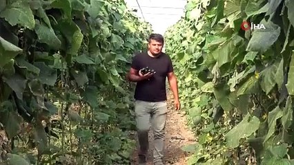 350 dönüme ektiler geçen seneki fiyata satıyorlar