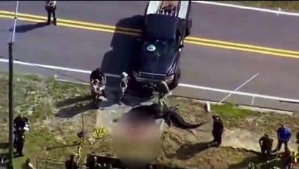 Ağzının içine bakan polis timsaha yaylım ateşi açtı. Gördüklerimin gerçek olduğuna inanamadım