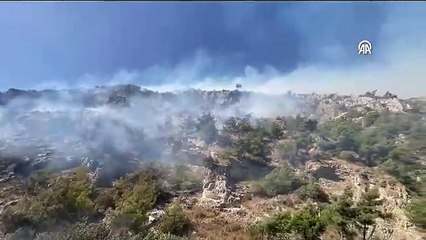 Aydın'da ağaçlık alanda yangın