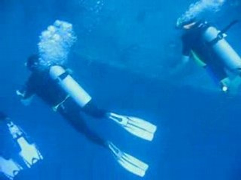 Epave St Georges 03 04 2008