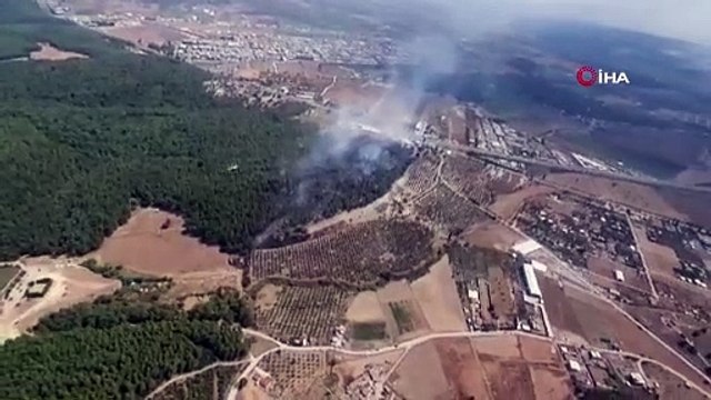 İzmir’deki orman yangını kontrol altında
