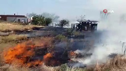 Av köpekleri ölümden döndü