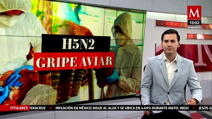 La Secretaría de Salud del Estado de México descarta riesgo por H5N2 en la entidad
