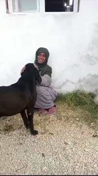 Yıldız Tilbe konser yorgunluğunu köyde çıkarttı. Uzun elbise giydi başörtüsü taktı