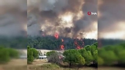 İzmir'de orman yangını. Alevlere helikopterlerle müdahale ediliyor