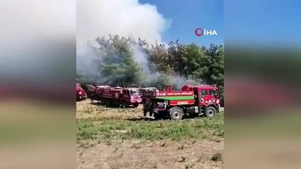 Manavgat’taki orman yangınına müdahale sürüyor