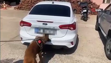 Osmaniye’de 103 kilo 700 gram uyuşturucu ele geçirildi