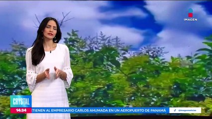 Se registran avistamientos atípicos de mariposas “parche carmesí”