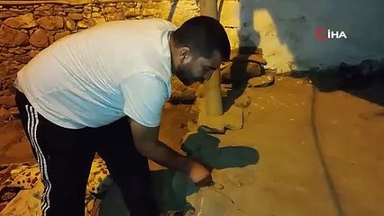 Bitlis'te ilk defa görüldü. Halk öldürdü