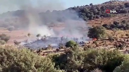 Bodrum’da makilik alanda yangın