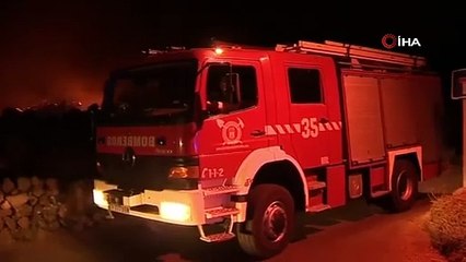 Tenerife Adası’ndaki orman yangının yol açtığı ekonomik kayıp 80.4 milyon euro