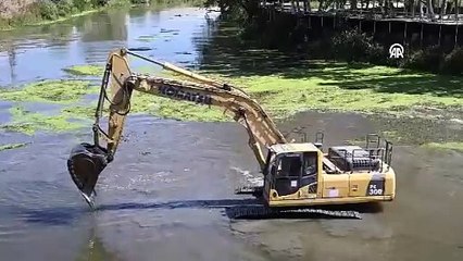 Tunca Nehri temizleniyor: Yüzeyi ot ve çöple kaplanmıştı
