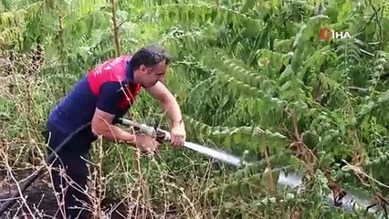 Taşova’da örtü yangını ormana sıçramadan söndürüldü