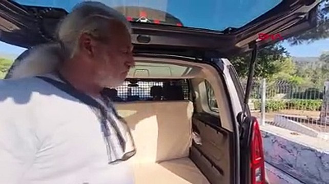 Türkiye bu kediyi konuşuyor. Kısırlaştırılmaya götürülen kedi camı kırıp firar etti